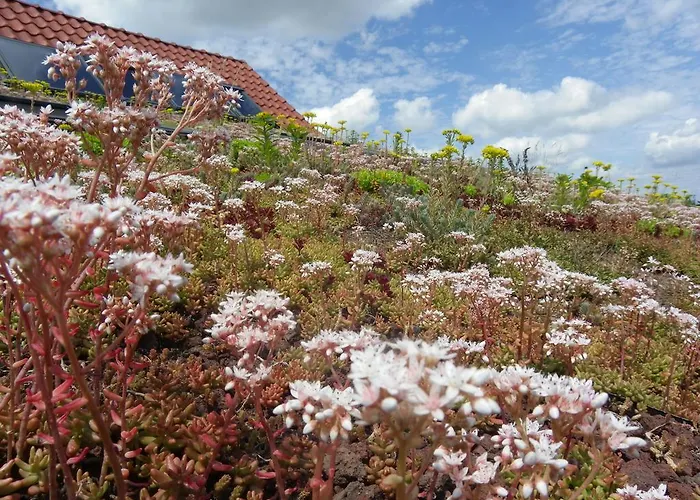 Fleur De Ciel Loos-en-Gohelle